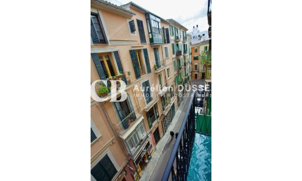 Apartment / flat - Resale - Palma -
                Centre