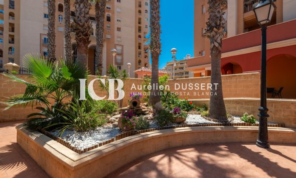 Apartment / flat - Resale - Torrevieja -
                Playa de los Locos