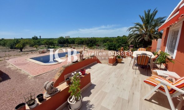 Finca - Resale - San Miguel de Salinas - San Miguel de Salinas