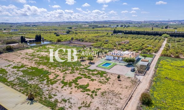 Finca - Reventa - Los Montesinos - Los Montesinos