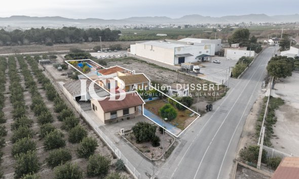 Finca - Revente - Orihuela Ville - Orihuela