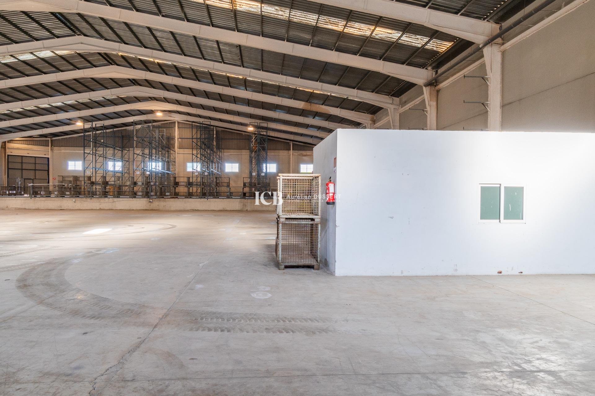 Location à long terme - Industrial unit -
Pilar de la Horadada - Polígono industrial Cañada de Práez