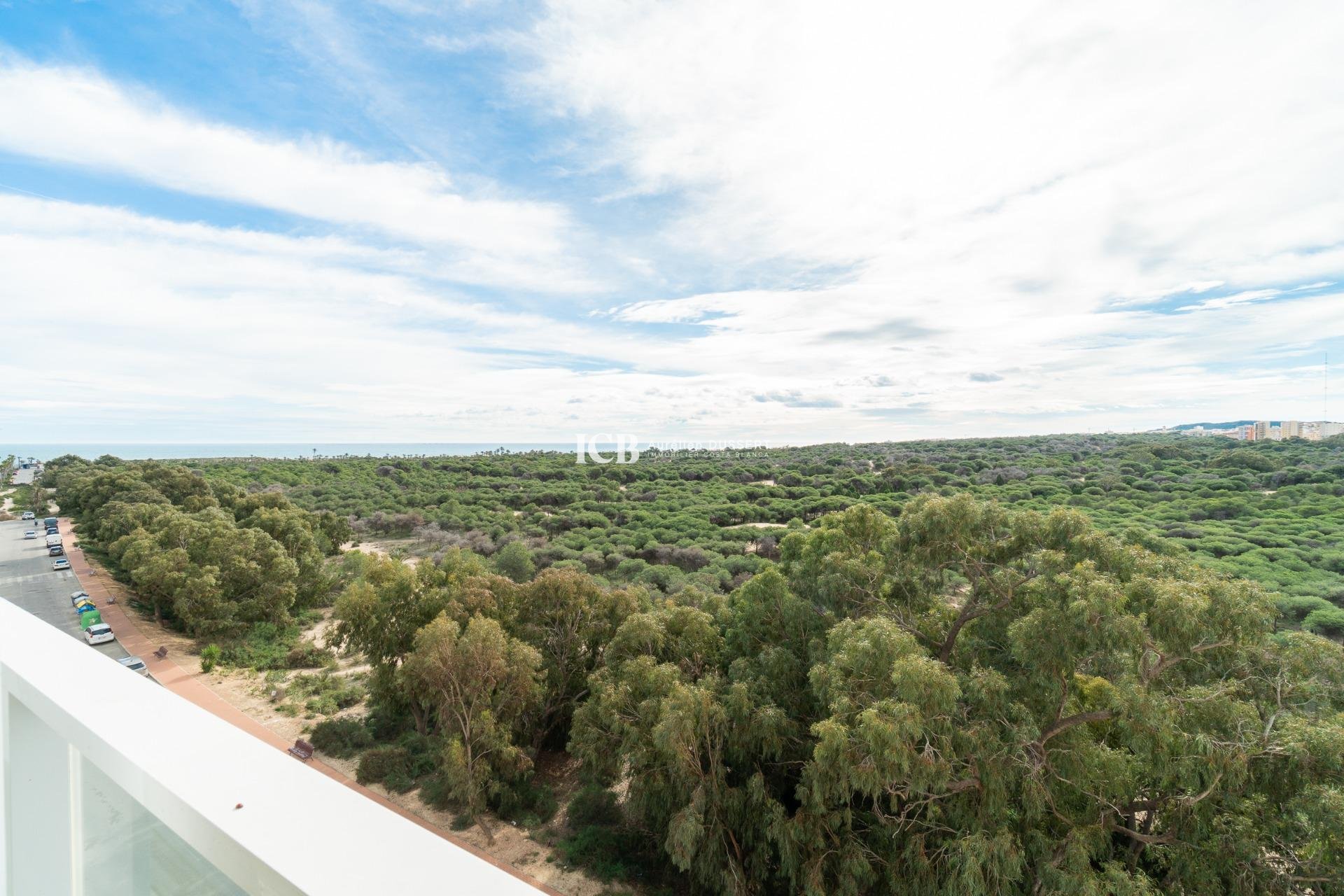 Resale - Apartment / flat -
Guardamar del Segura - Puerto Deportivo