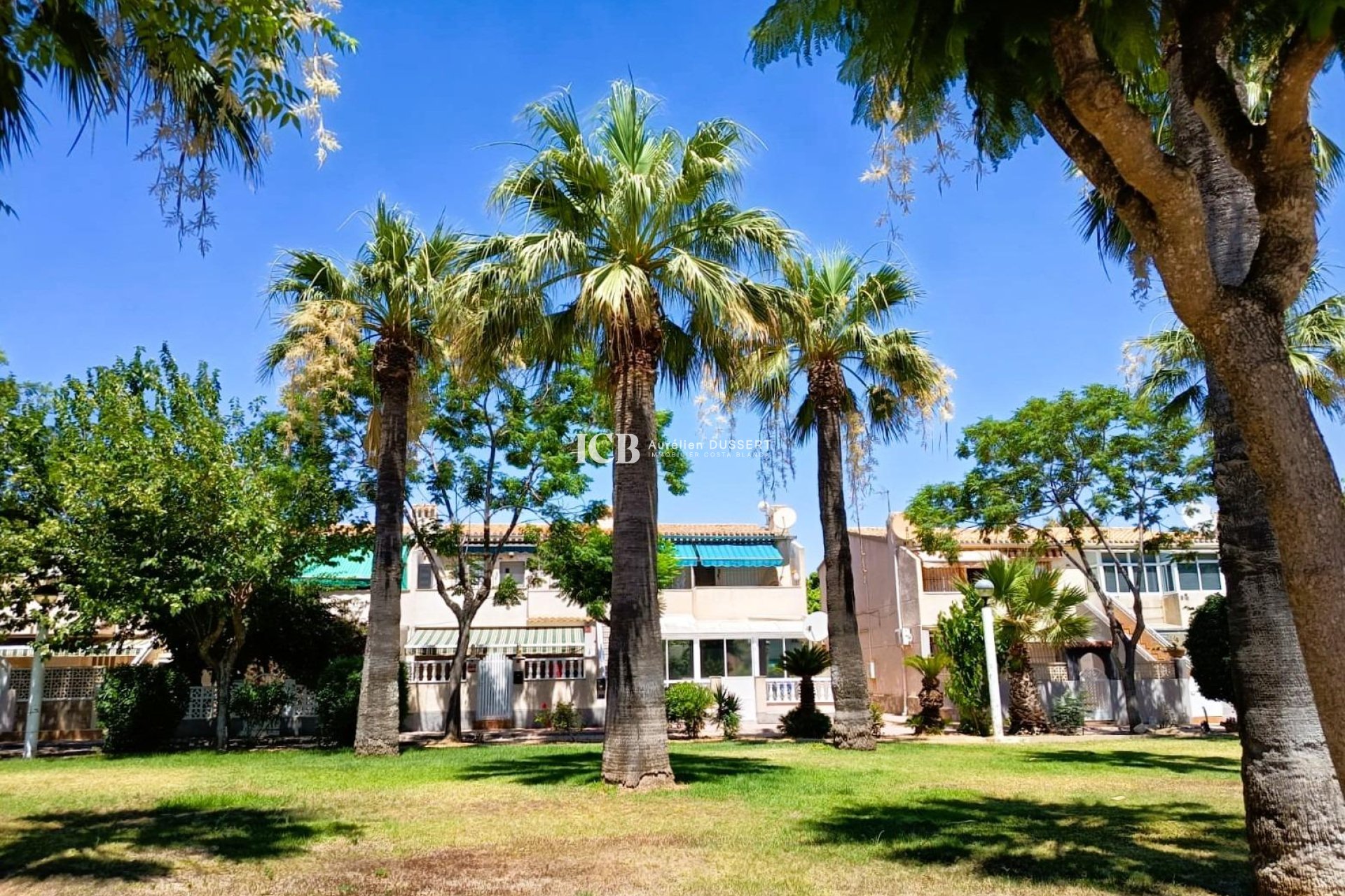 Resale - Apartment / flat -
Orihuela Costa - La Regia
