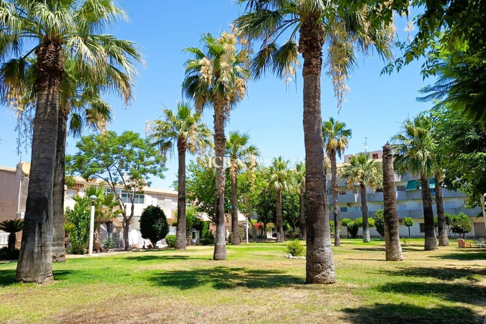 Resale - Apartment / flat -
Orihuela Costa - La Regia