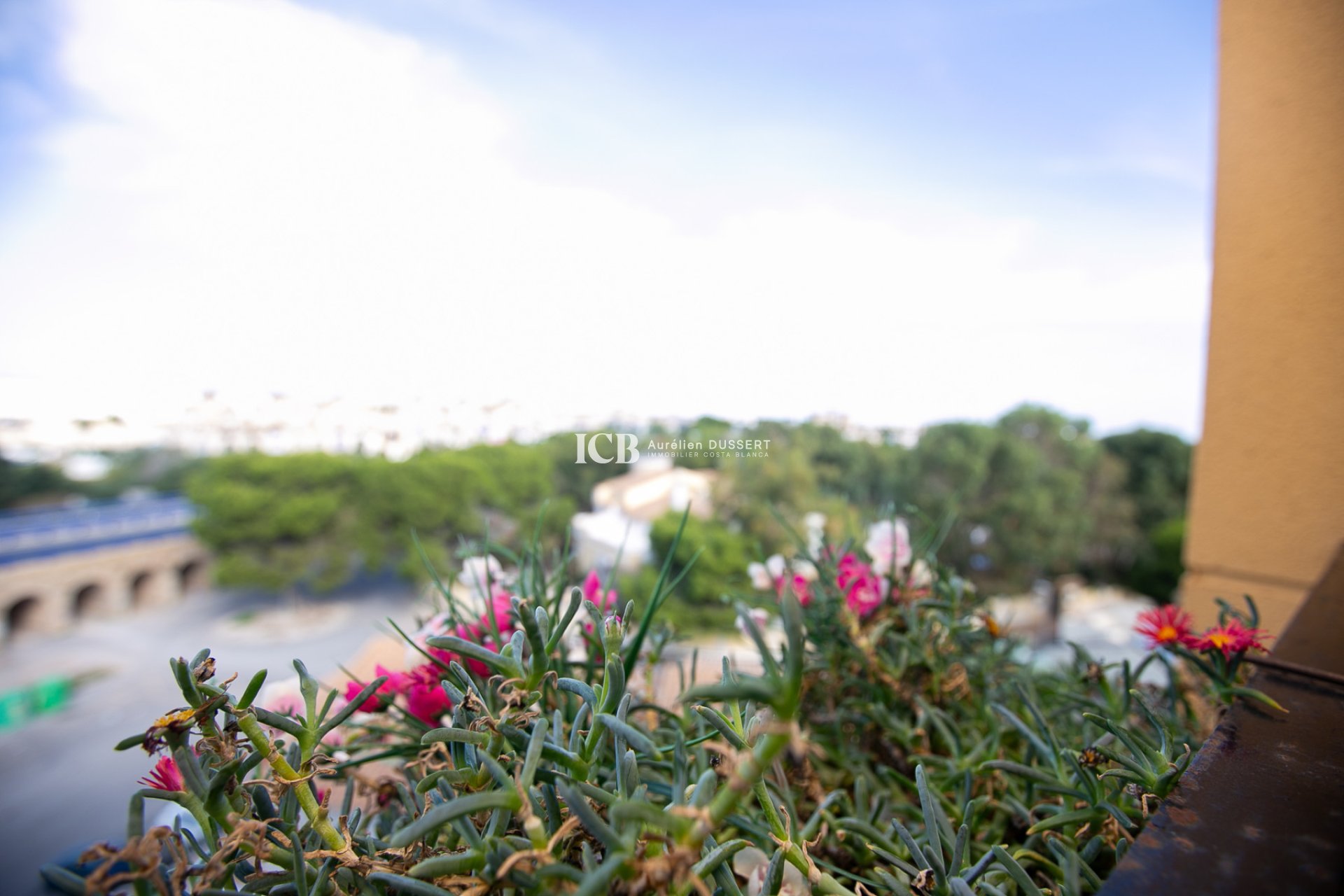 Resale - Apartment / flat -
Orihuela Costa - La Zenia