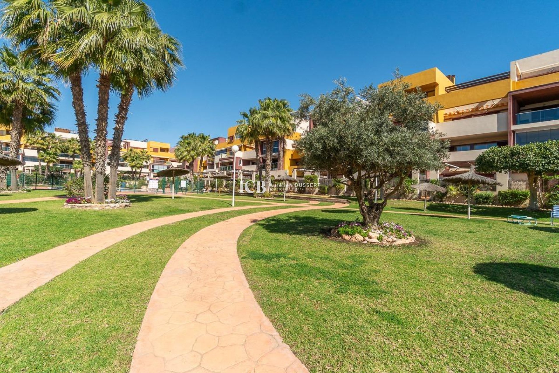 Resale - Apartment / flat -
Orihuela Costa - Playa Flamenca