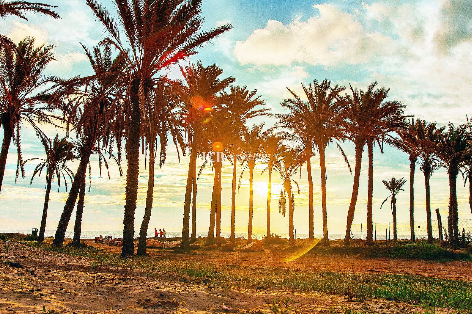 Resale - Apartment / flat -
Punta Prima - Torrevieja