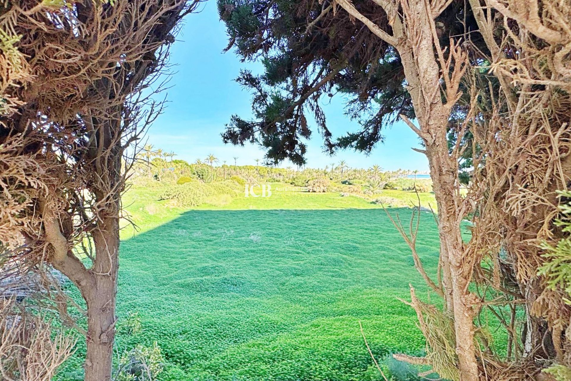 Resale - Apartment / flat -
Punta Prima - Torrevieja