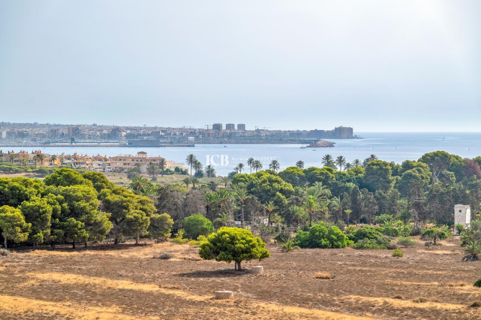 Resale - Apartment / flat -
Punta Prima - Torrevieja