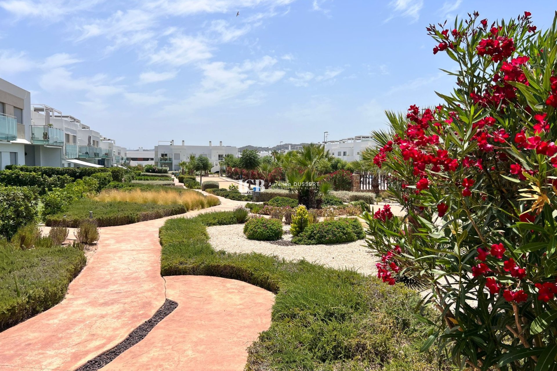 Resale - Apartment / flat -
Vistabella Golf - Vistabella