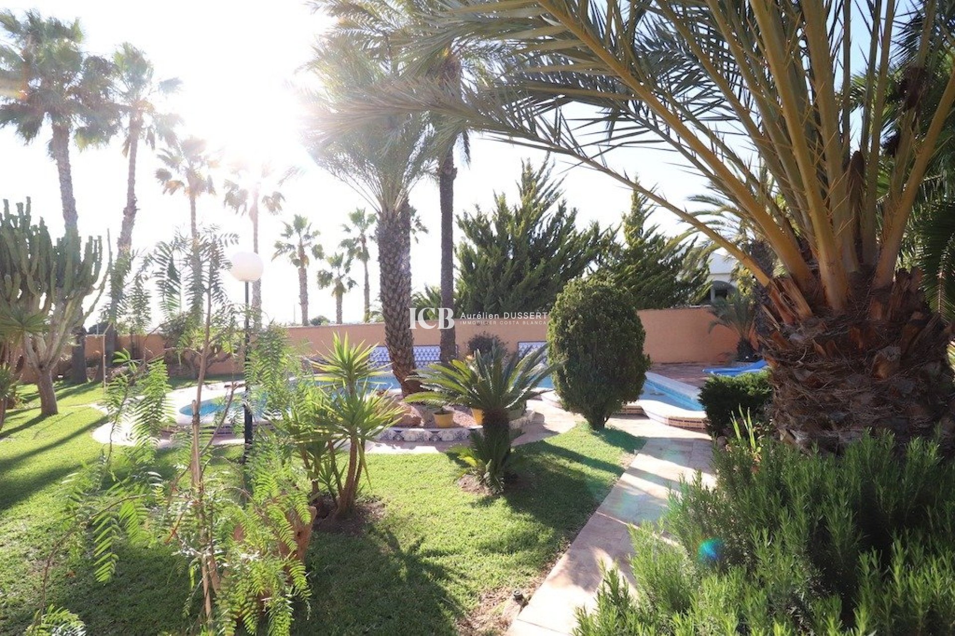 Resale - Detached house -
Torrevieja - El chaparral