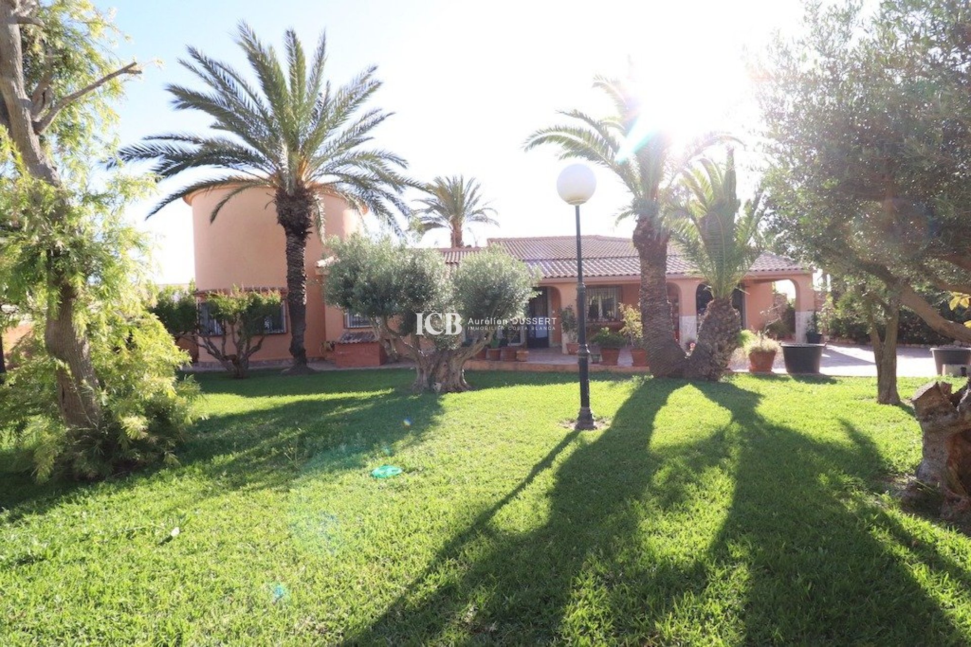 Resale - Detached house -
Torrevieja - El chaparral