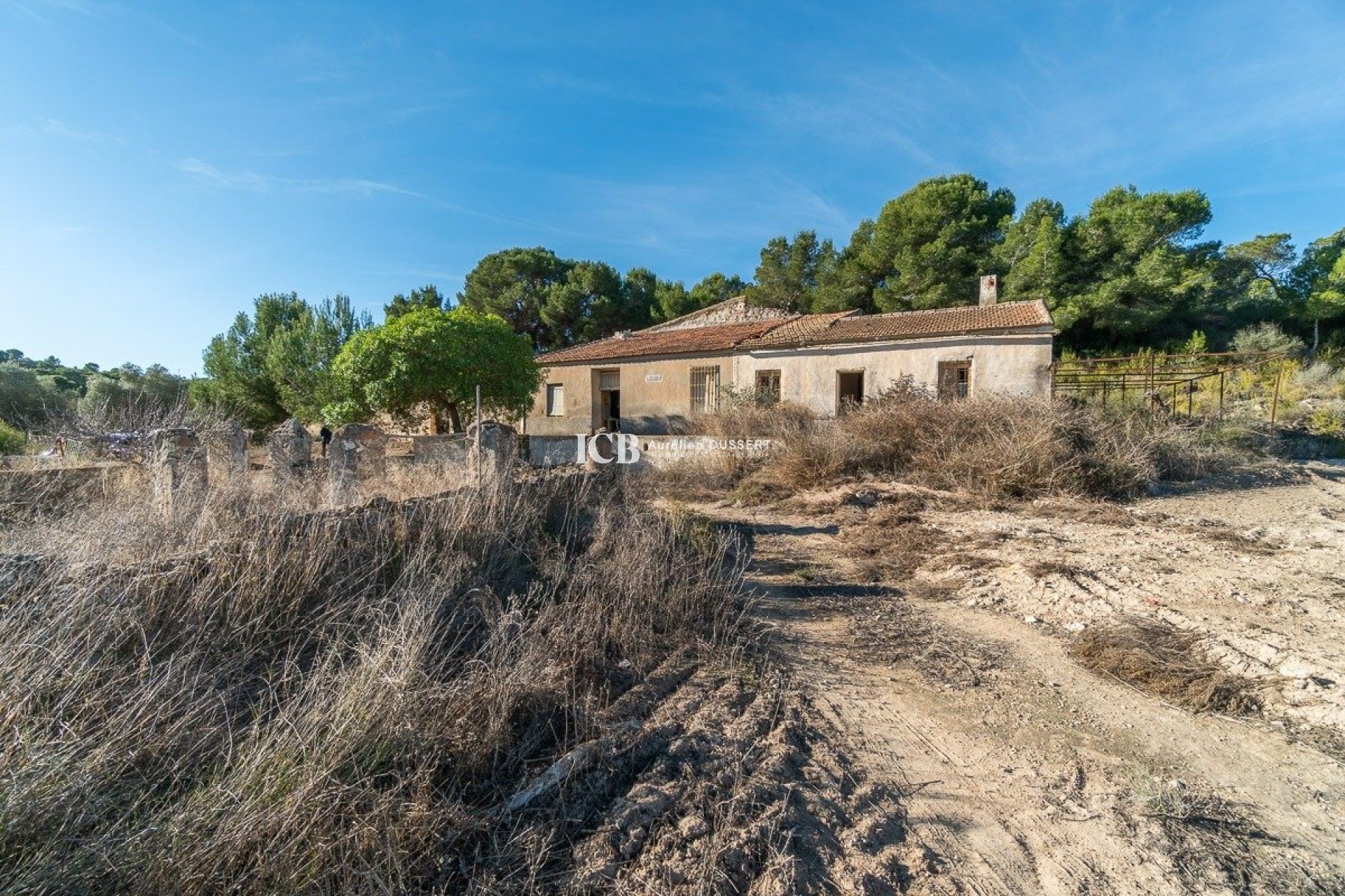 Resale - Finca -
Pilar de la Horadada - Pinar de la Perdiz