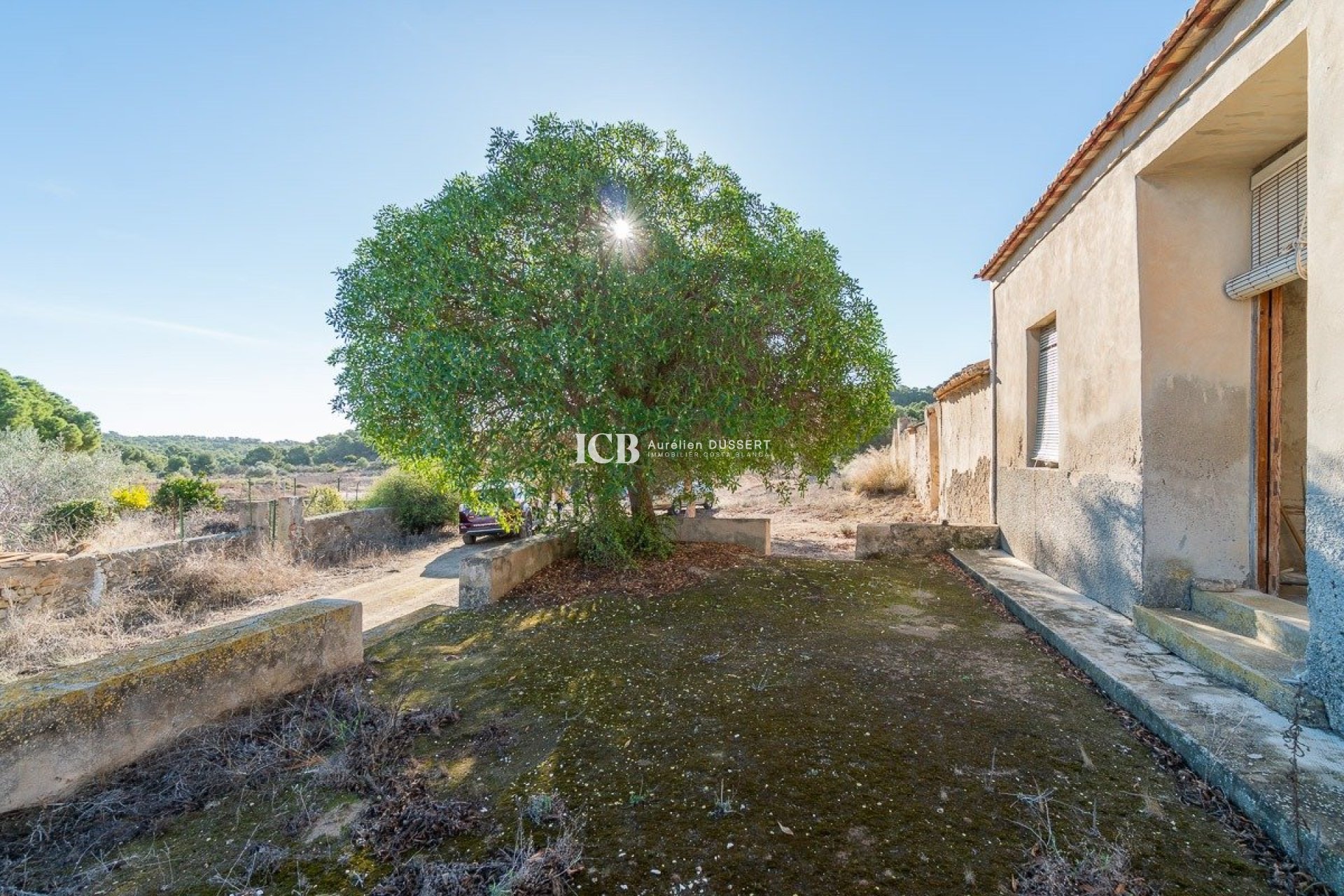 Resale - Finca -
Pilar de la Horadada - Pinar de la Perdiz