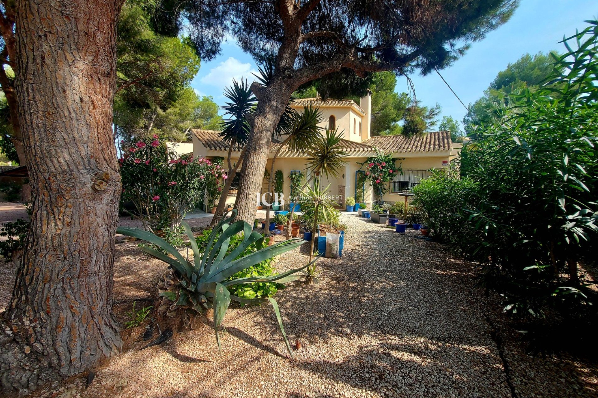 Resale - Villa -
Algorfa - Montemar