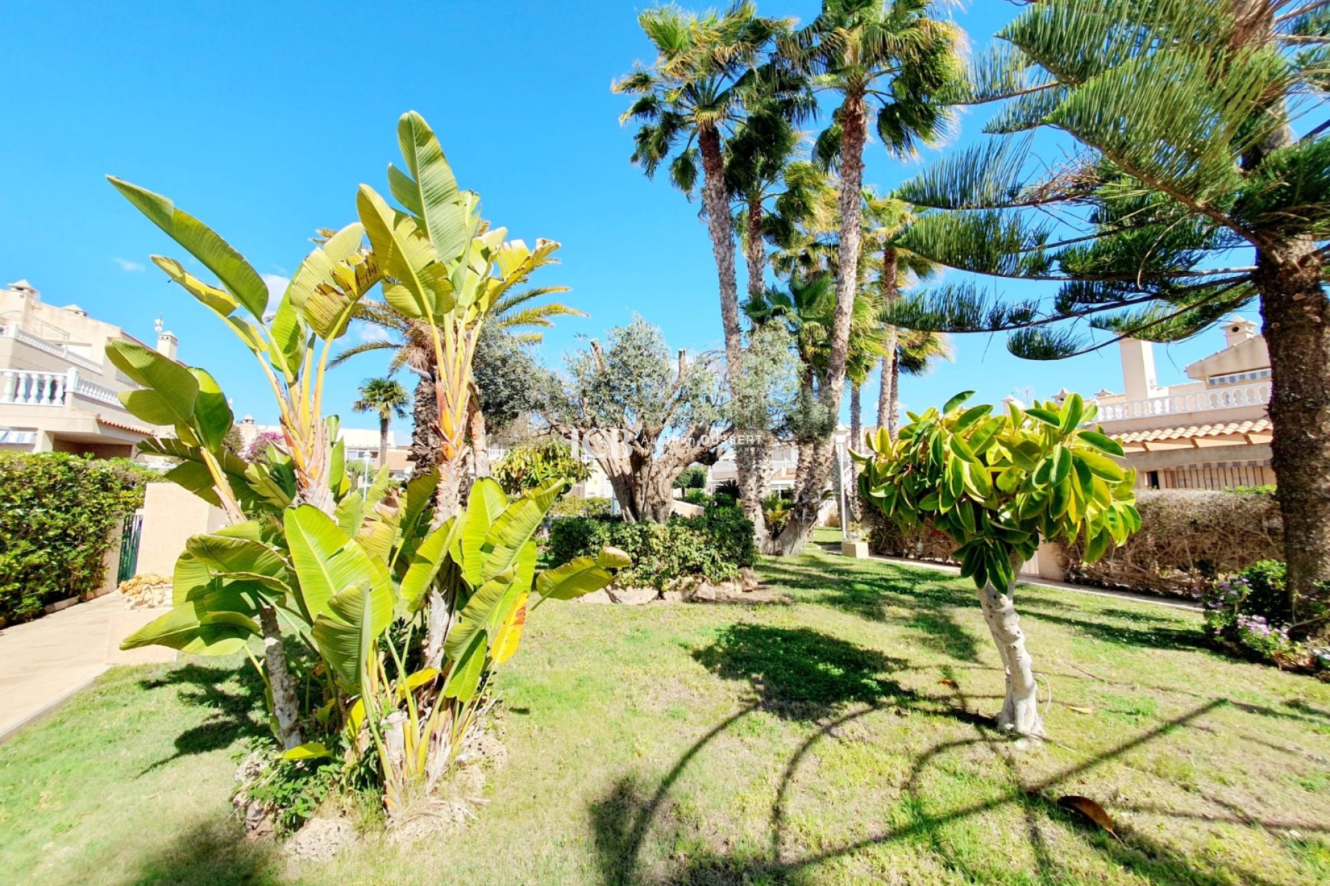 Reventa - Adosado -
Orihuela Costa - Playa Flamenca