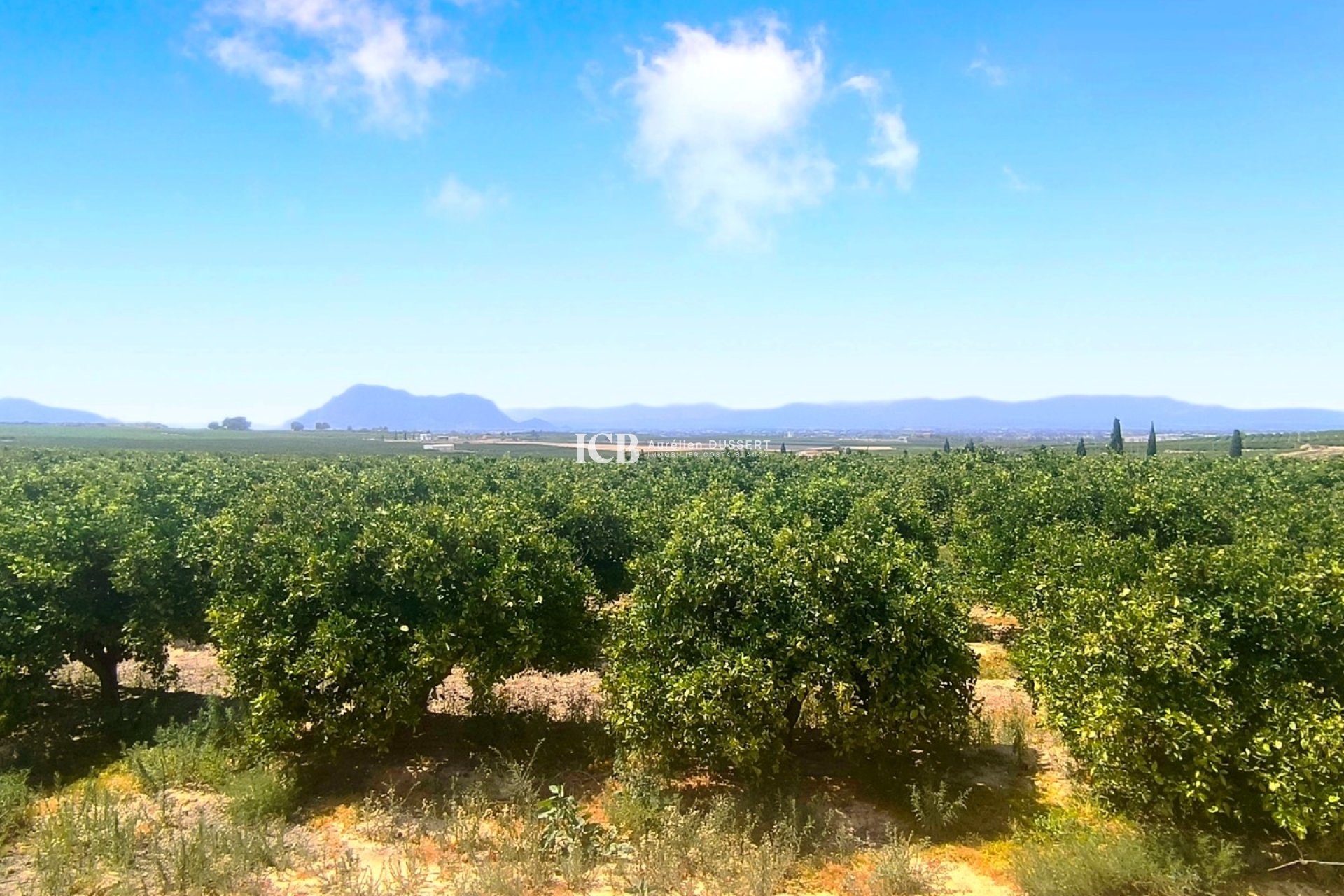 Reventa - Apartamento / piso -
Algorfa