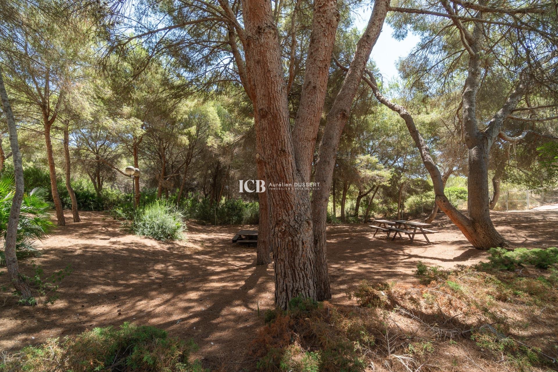 Reventa - Apartamento / piso -
Orihuela Costa - Campoamor