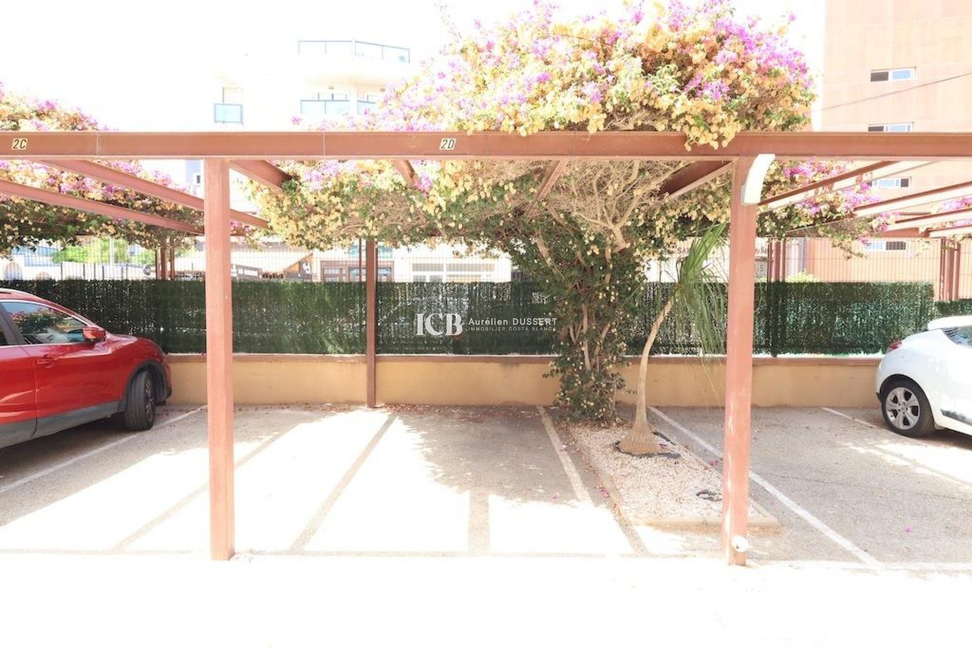 Reventa - Apartamento / piso -
Orihuela Costa - La Regia