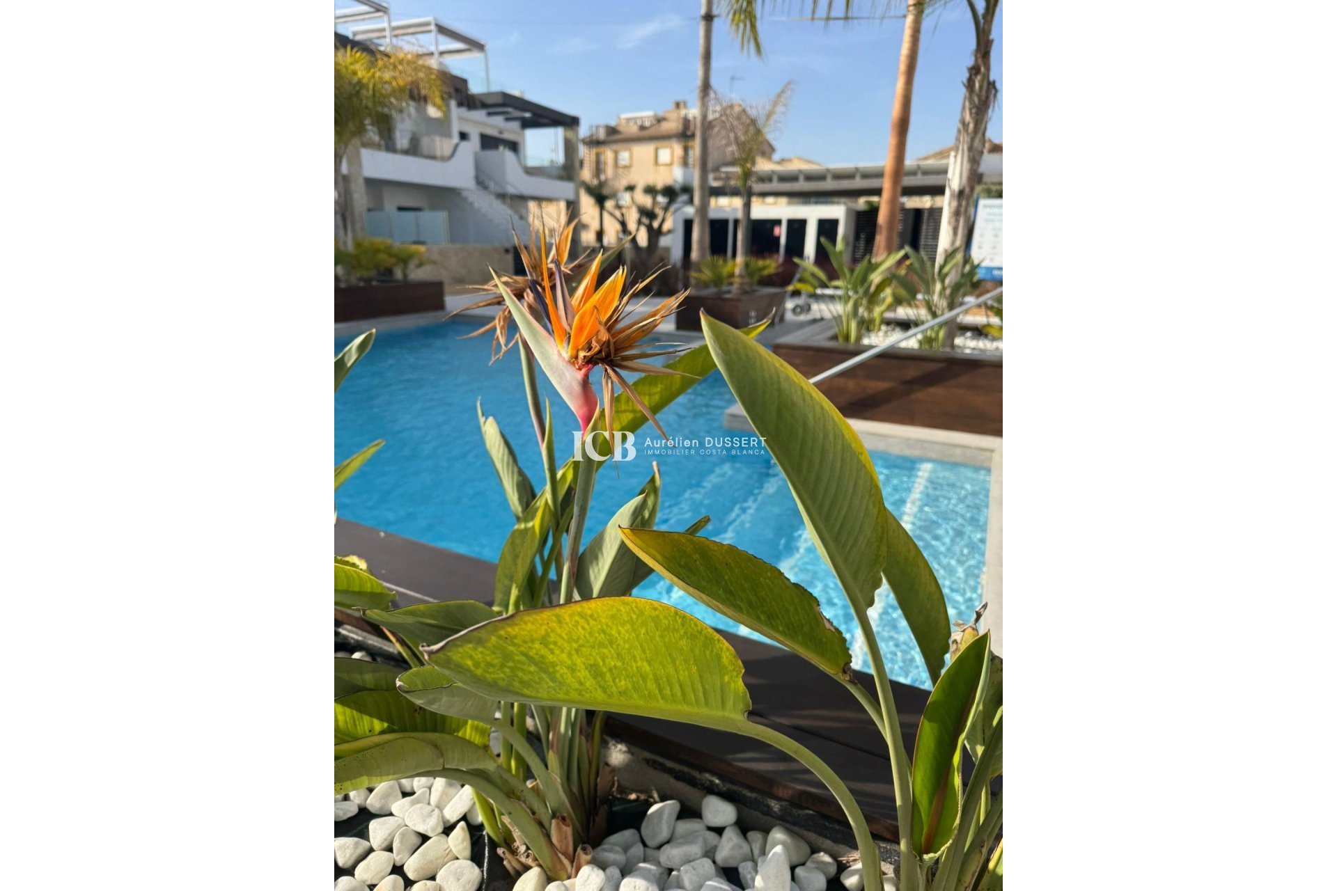 Reventa - Apartamento / piso -
Orihuela Costa - Playa Flamenca