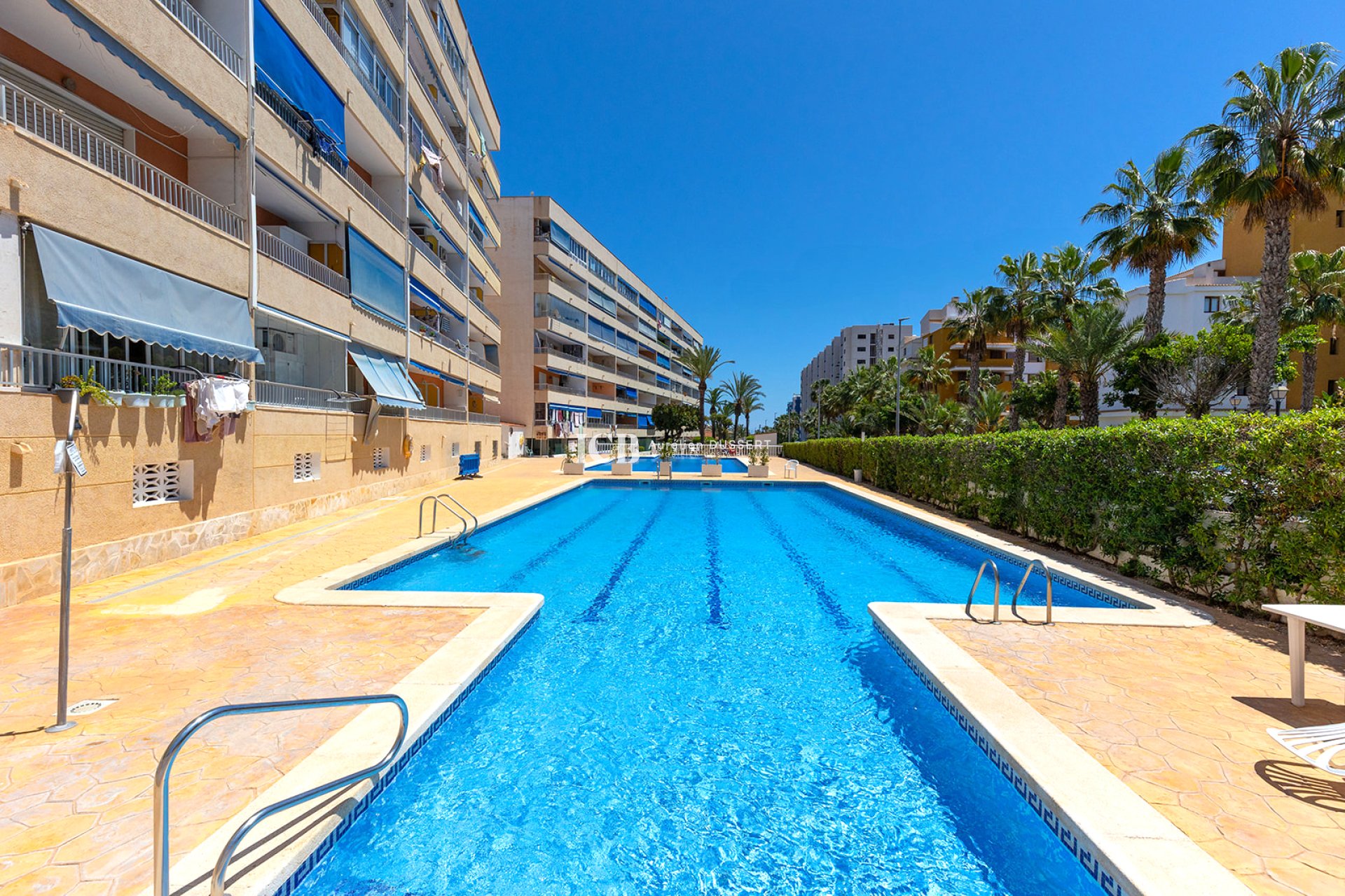 Reventa - Apartamento / piso -
Punta Prima - Torrevieja