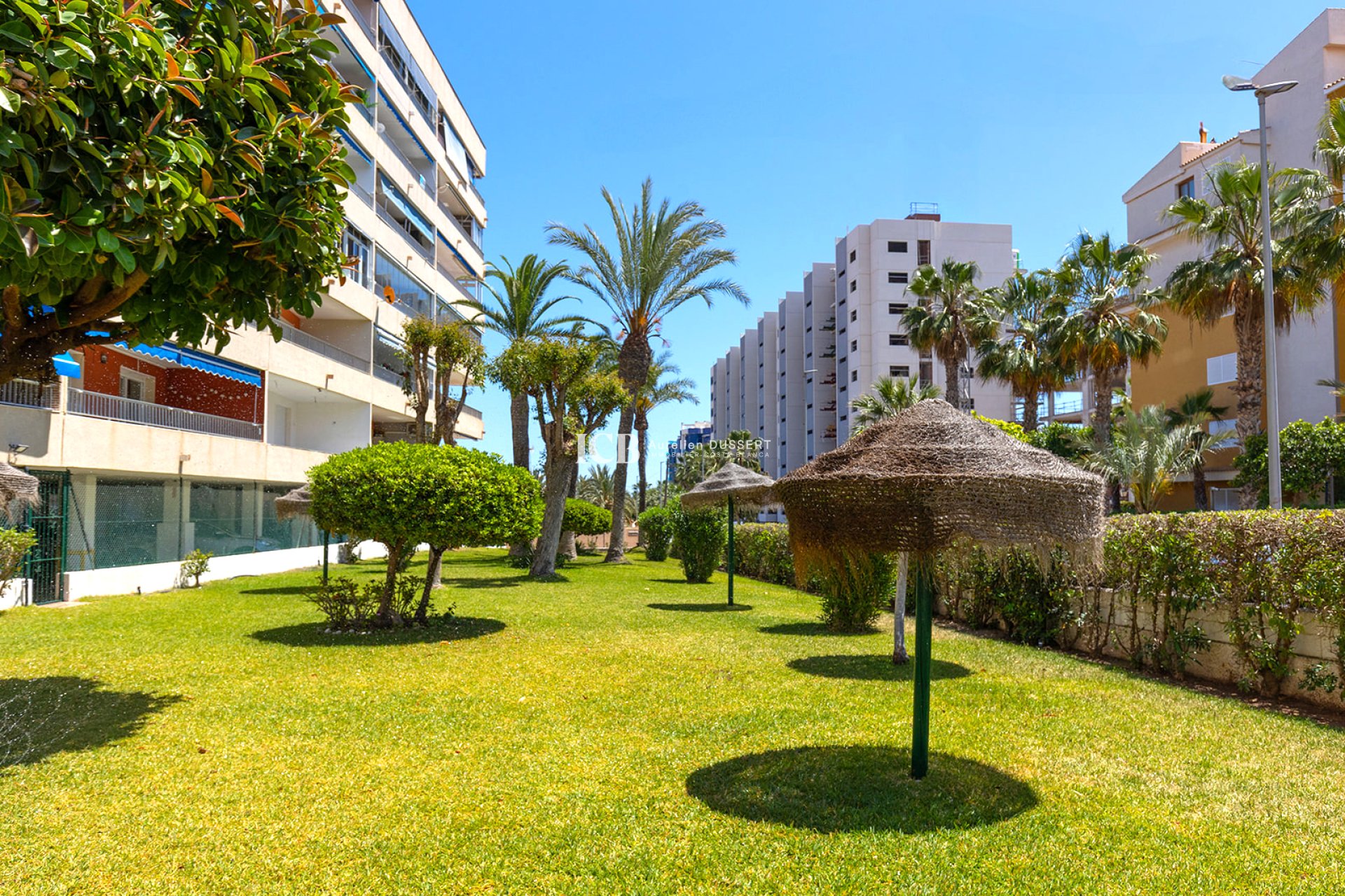Reventa - Apartamento / piso -
Punta Prima - Torrevieja