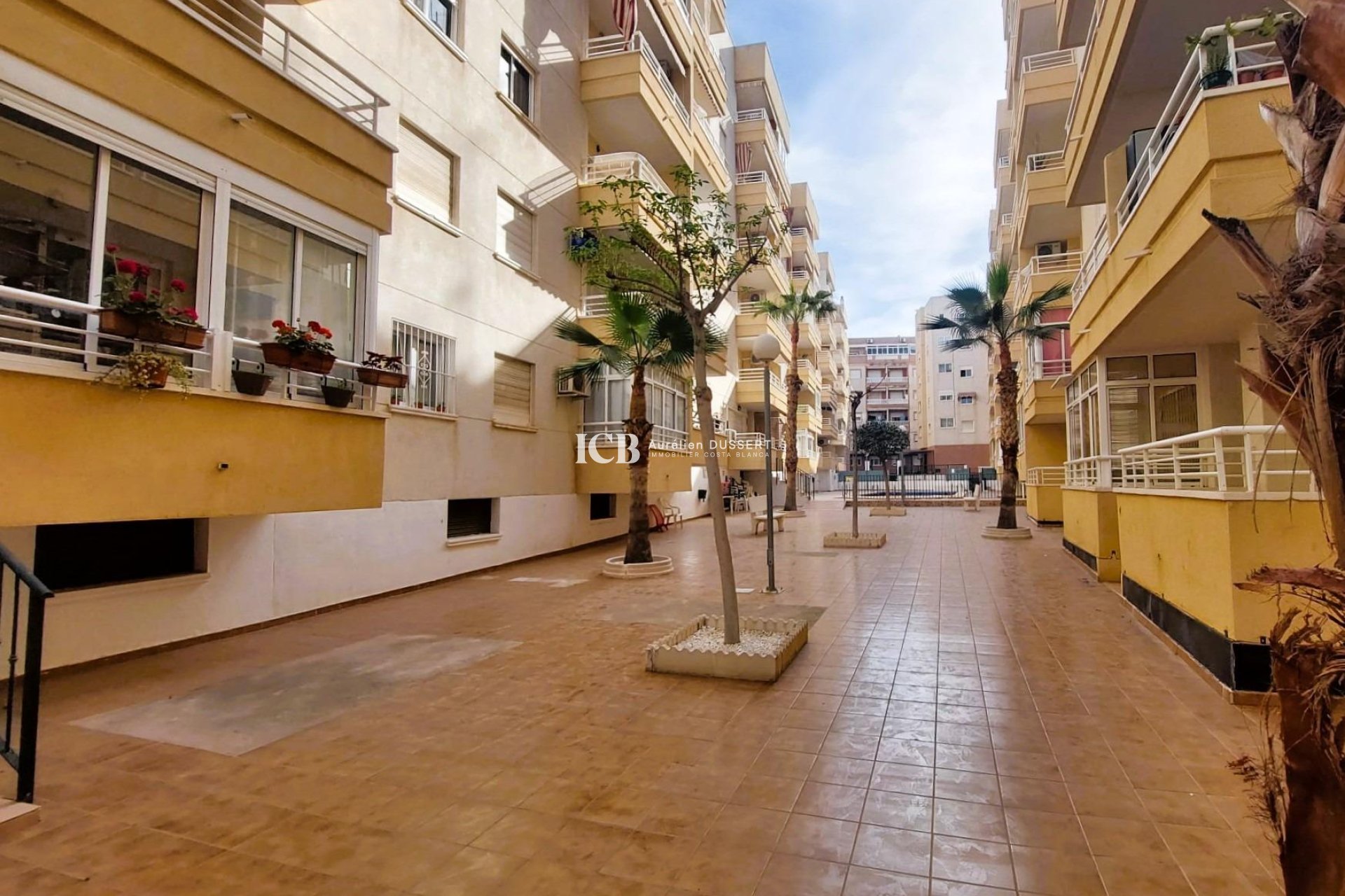 Reventa - Apartamento / piso -
Torrevieja - Centro