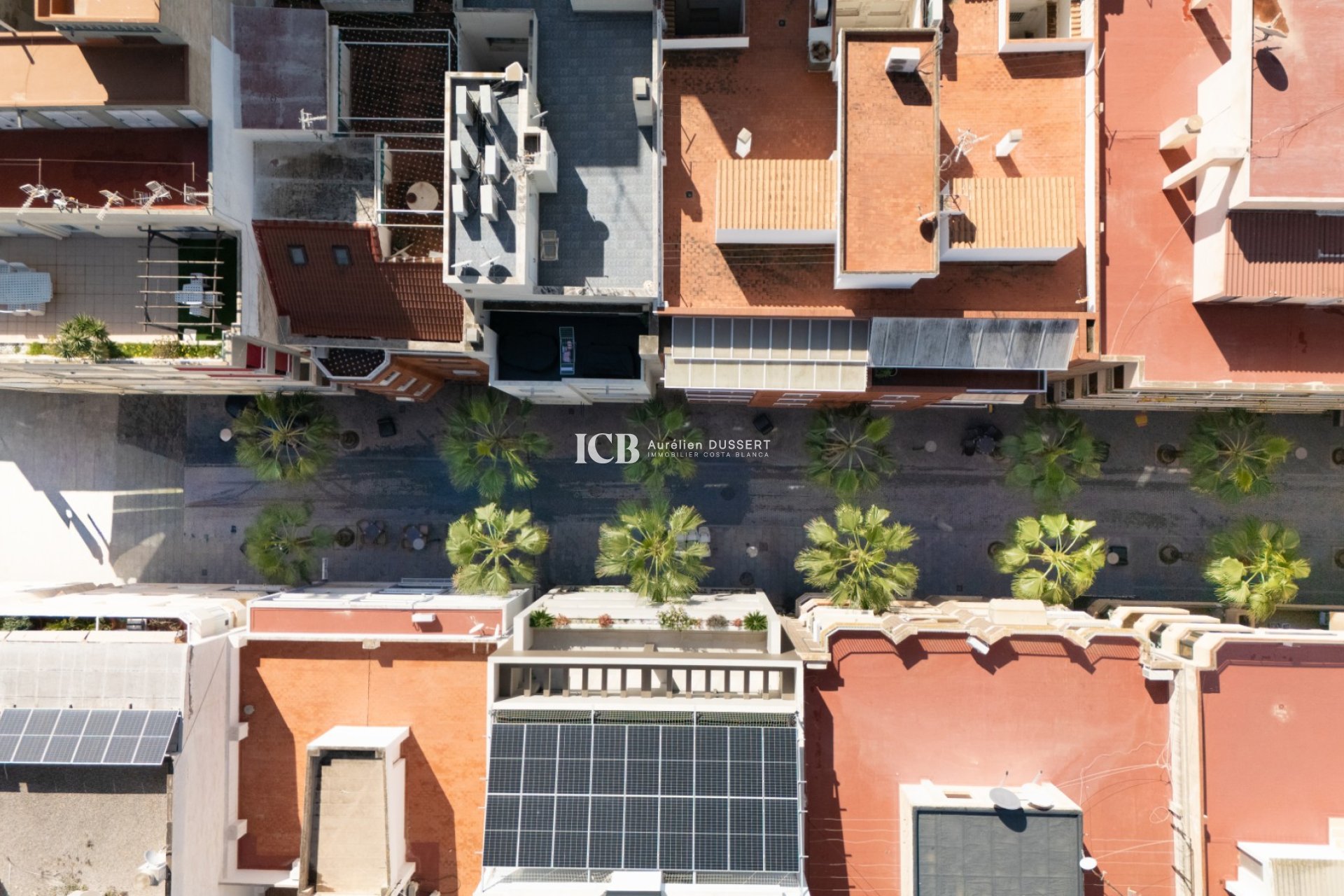 Reventa - Apartamento / piso -
Torrevieja - Centro