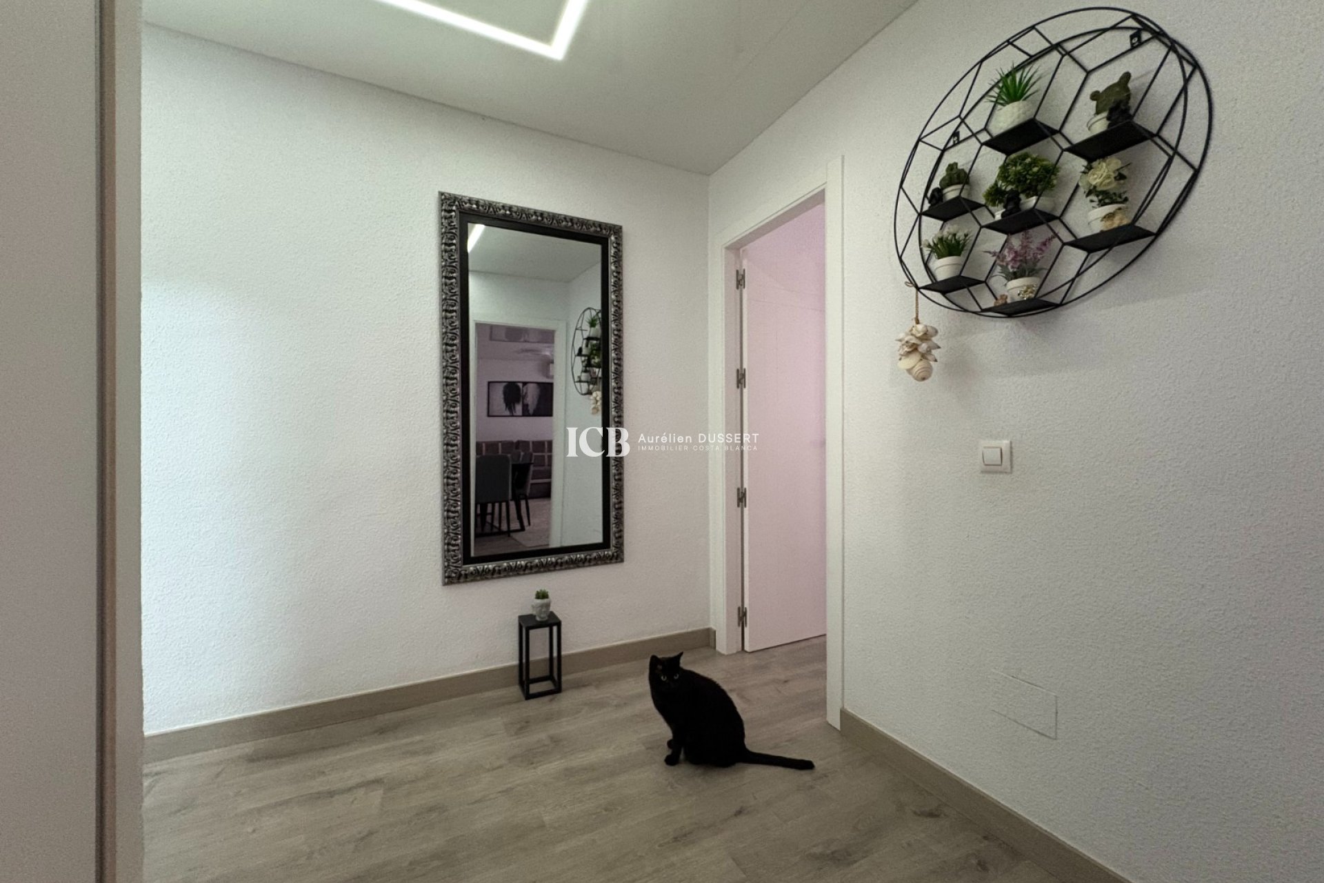 Reventa - Apartamento / piso -
Torrevieja - Centro