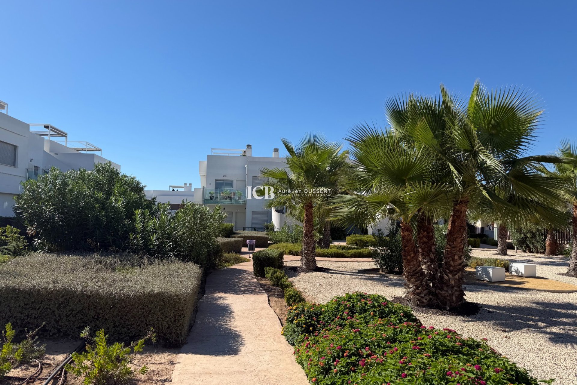Reventa - Apartamento / piso -
Vistabella Golf - Vistabella
