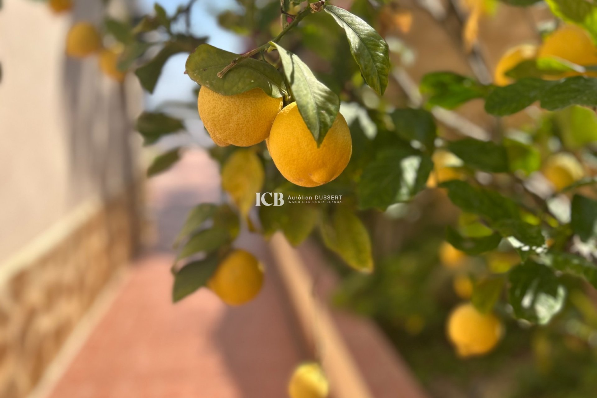 Reventa - Casa independiente -
Algorfa - Lomas de Juliana