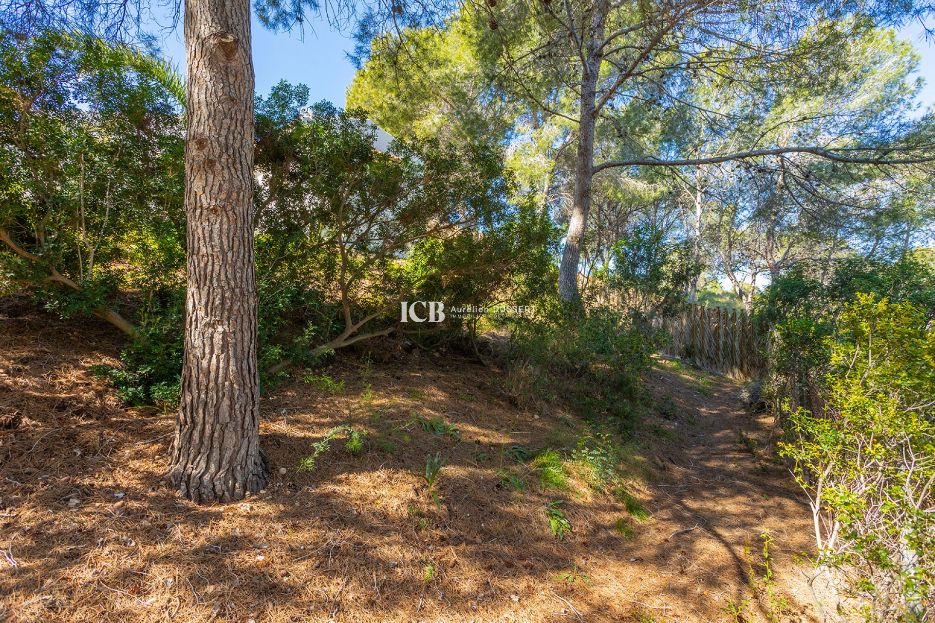 Reventa - Casa independiente -
Orihuela Costa - Lomas de Cabo Roig