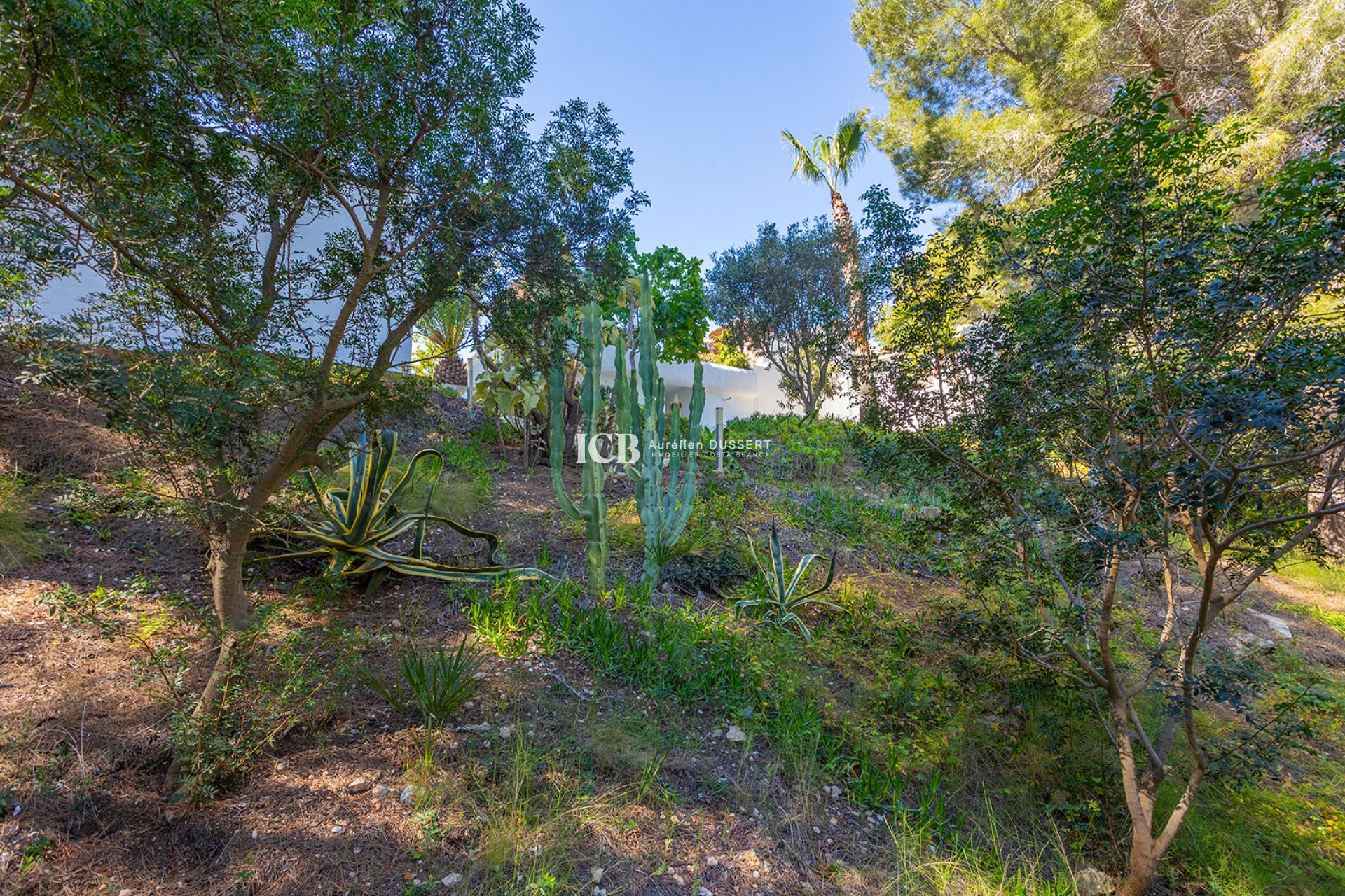 Reventa - Casa independiente -
Orihuela Costa - Lomas de Cabo Roig