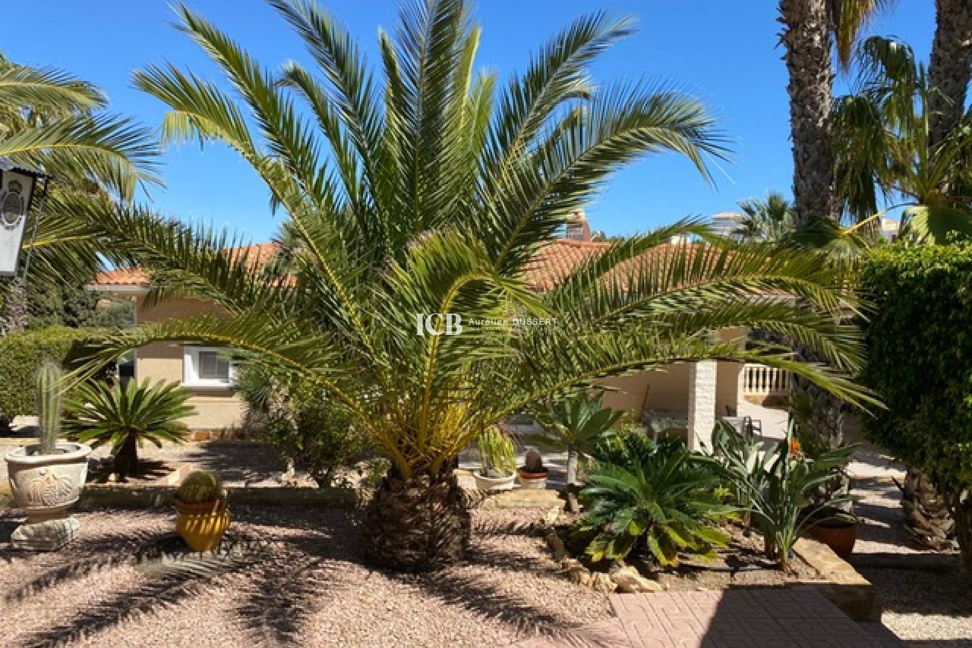 Reventa - Casa independiente -
San Miguel de Salinas - El Galan