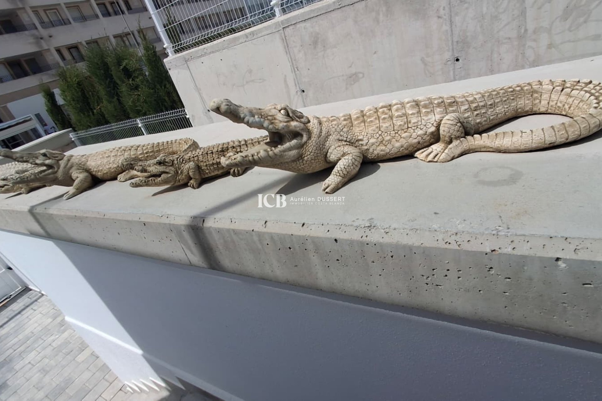 Reventa - Casa independiente -
Vistabella Golf - Vistabella