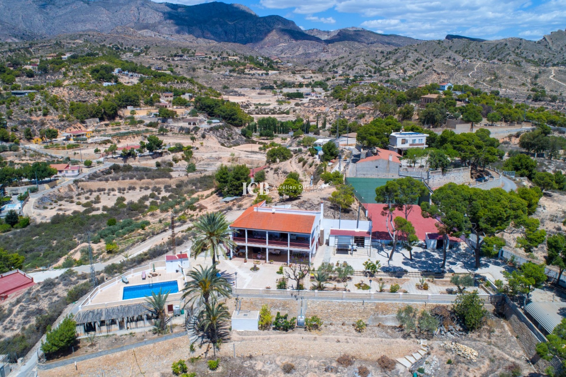 Reventa - Finca -
Crevillente