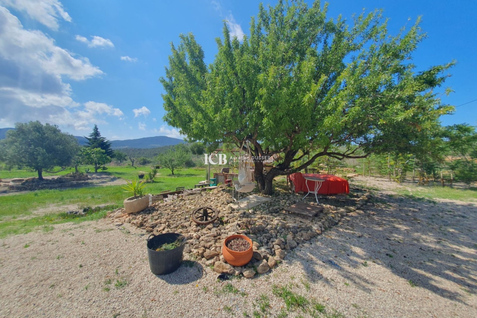 Reventa - Finca -
Hondón de las Nieves