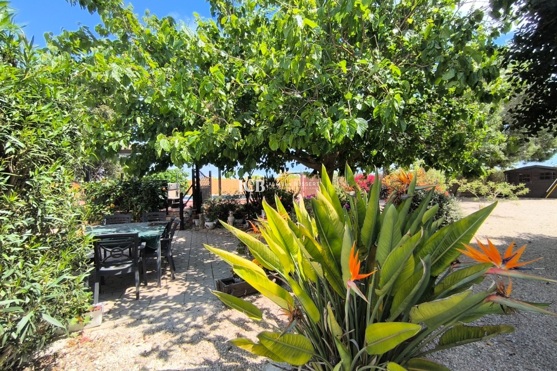 Reventa - Finca -
Orihuela Pueblo - Orihuela