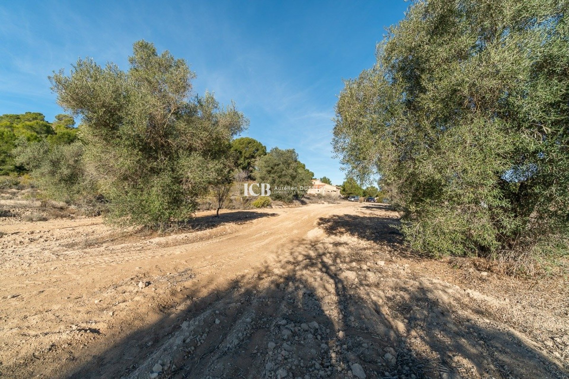 Reventa - Finca -
Pilar de la Horadada - Pinar de la Perdiz