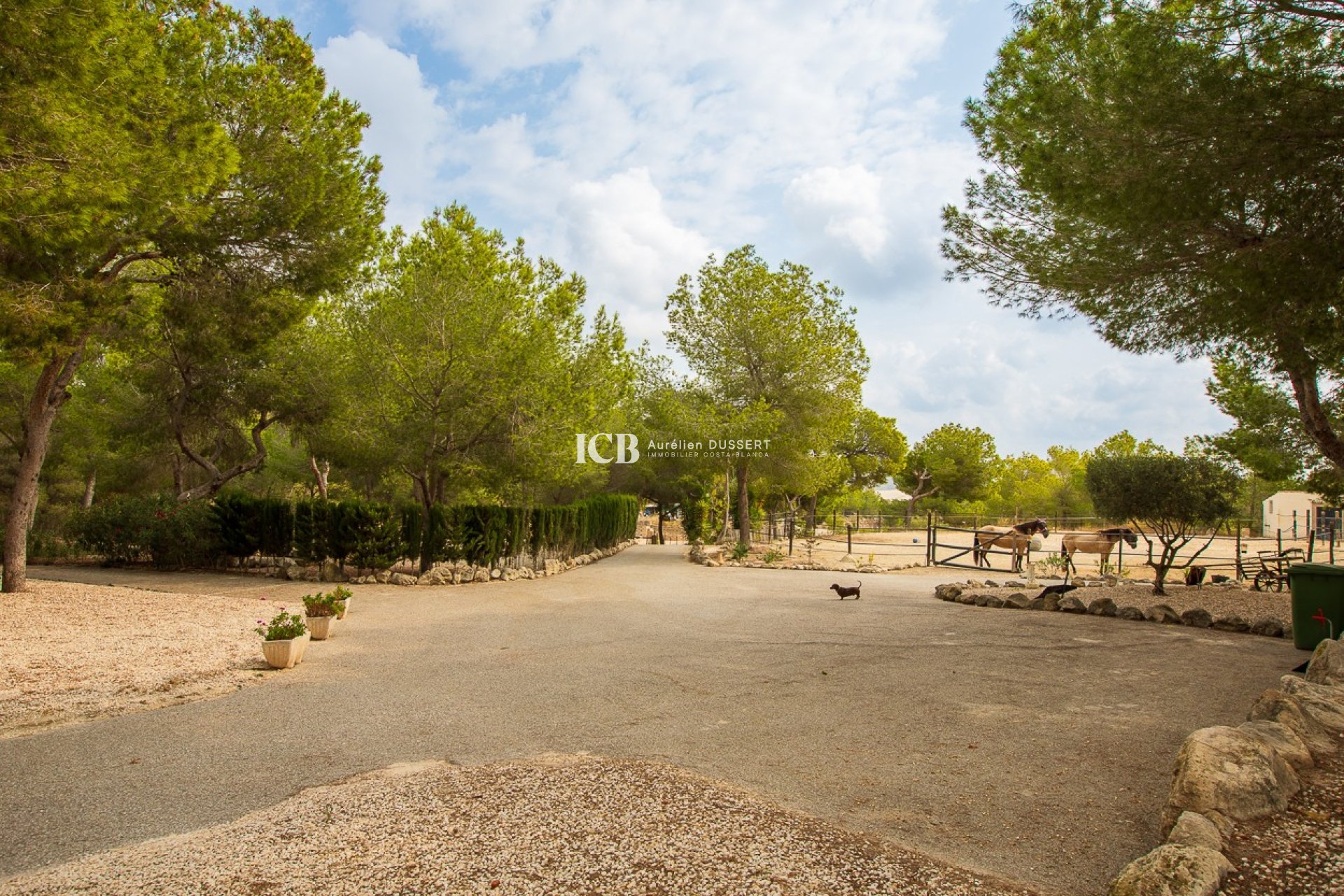 Reventa - Finca -
Torremendo