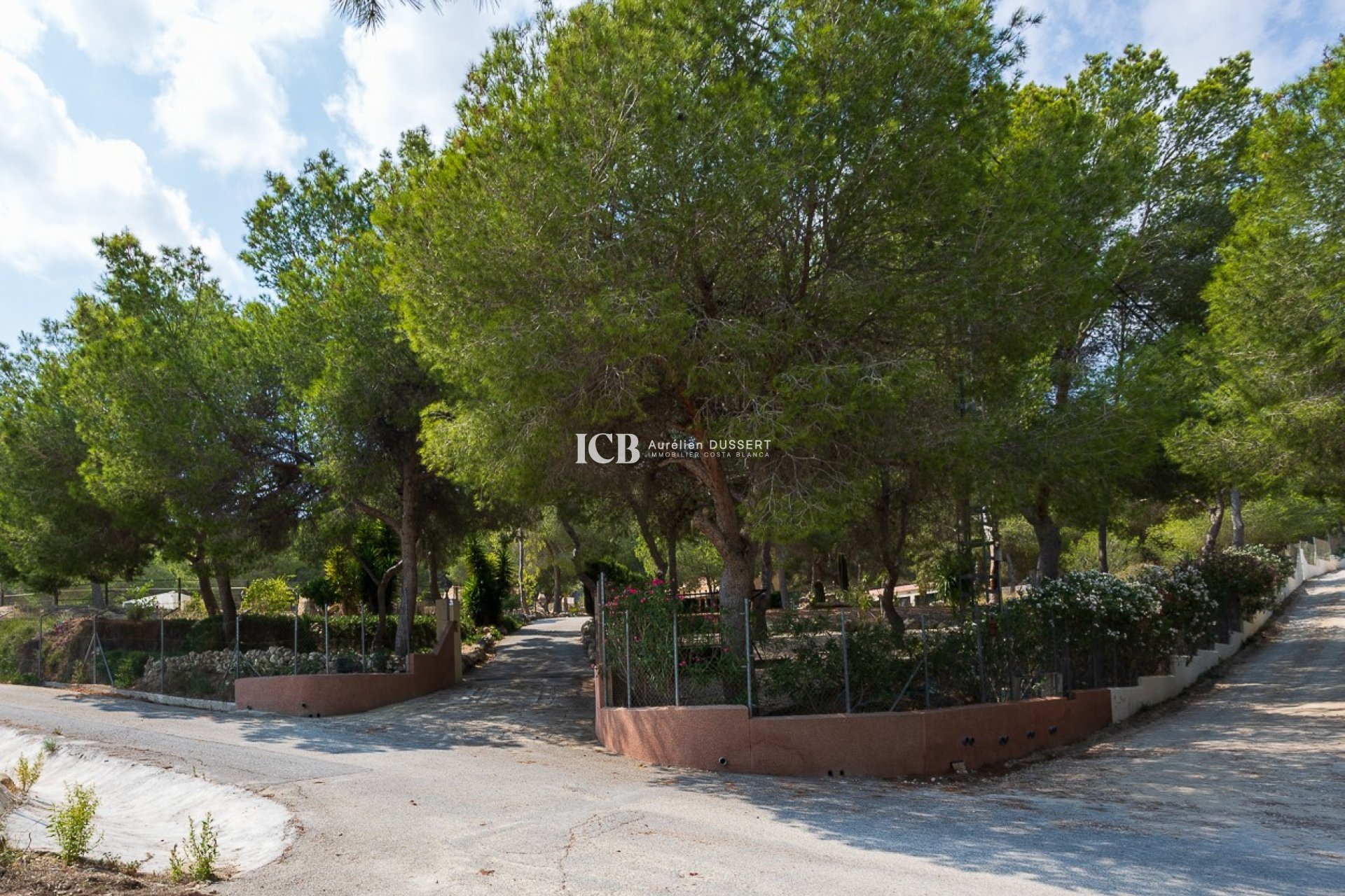 Reventa - Finca -
Torremendo