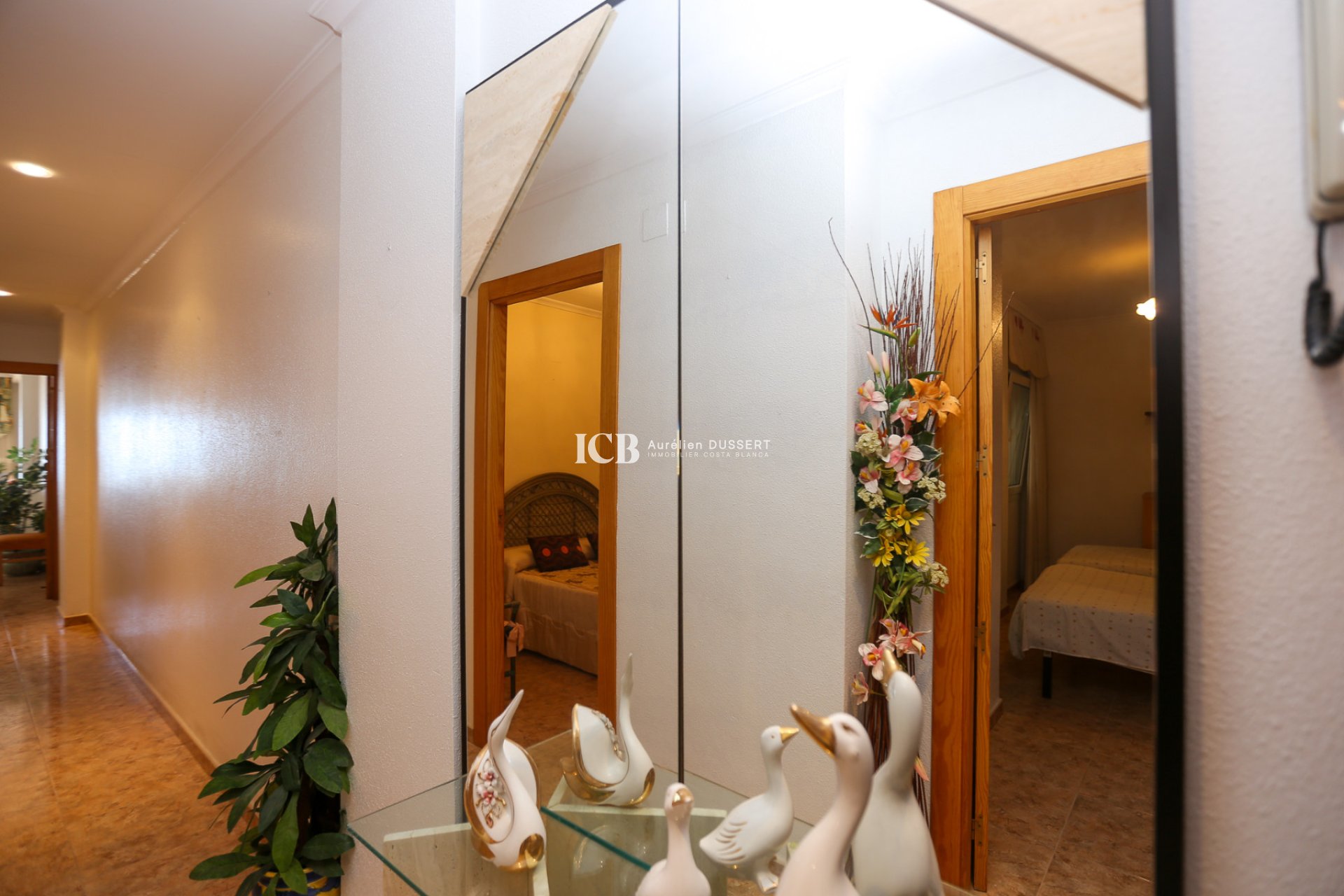 Revente - Appartement -
La Mata