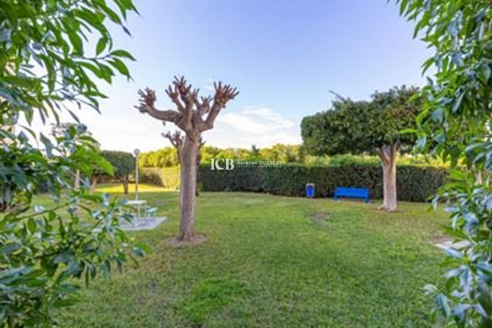 Revente - Appartement -
La Mata