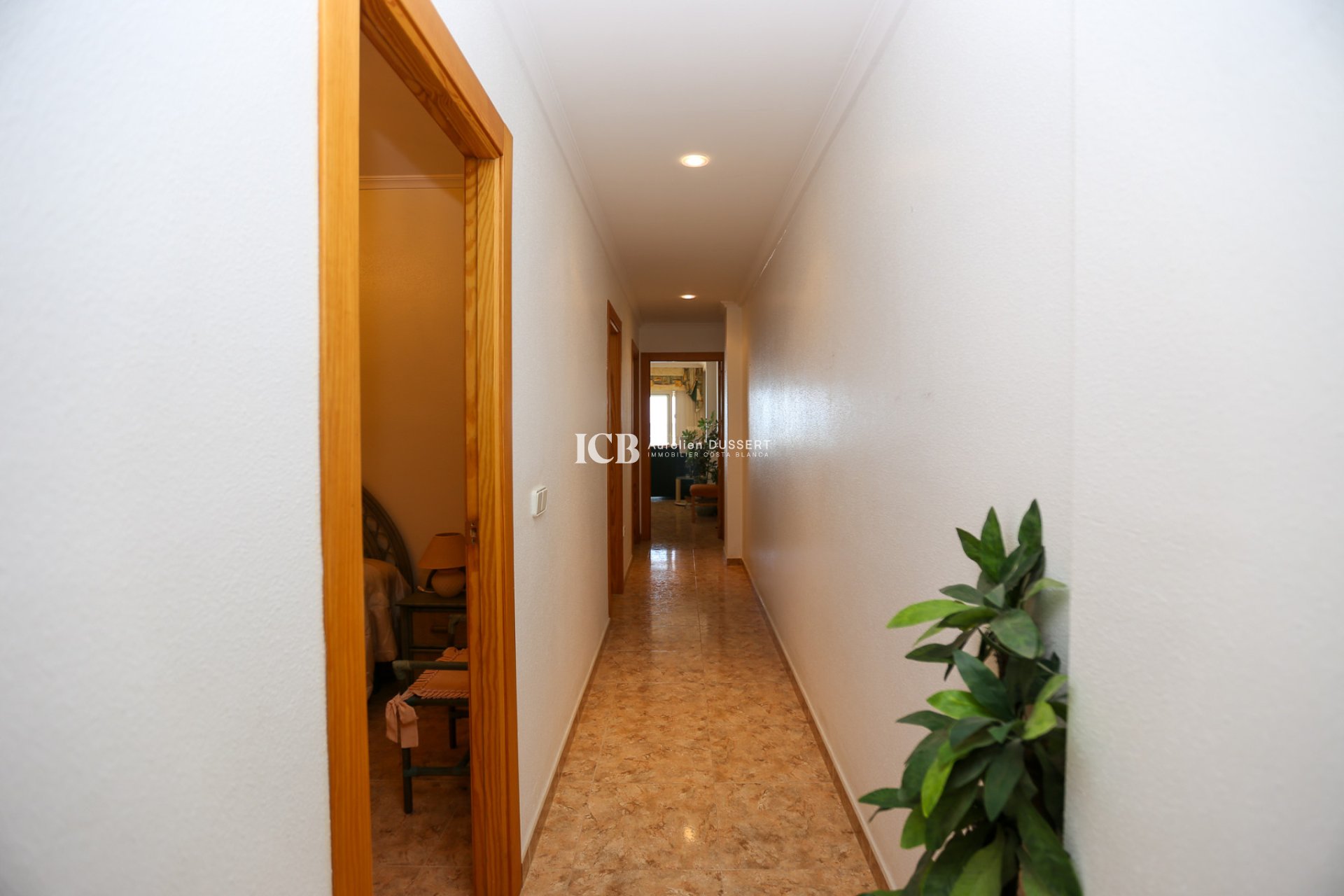 Revente - Appartement -
La Mata