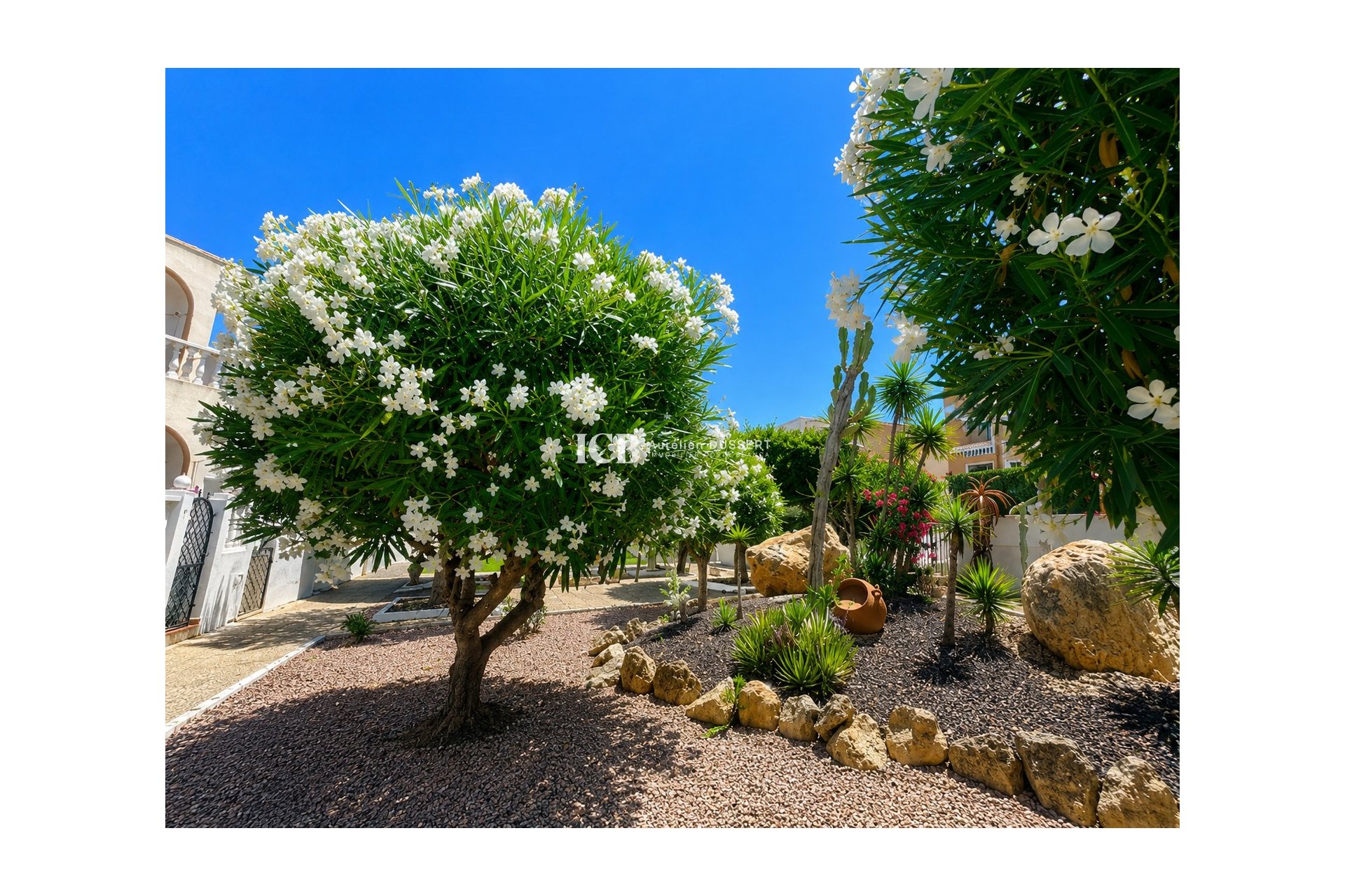 Revente - Appartement -
La Mata