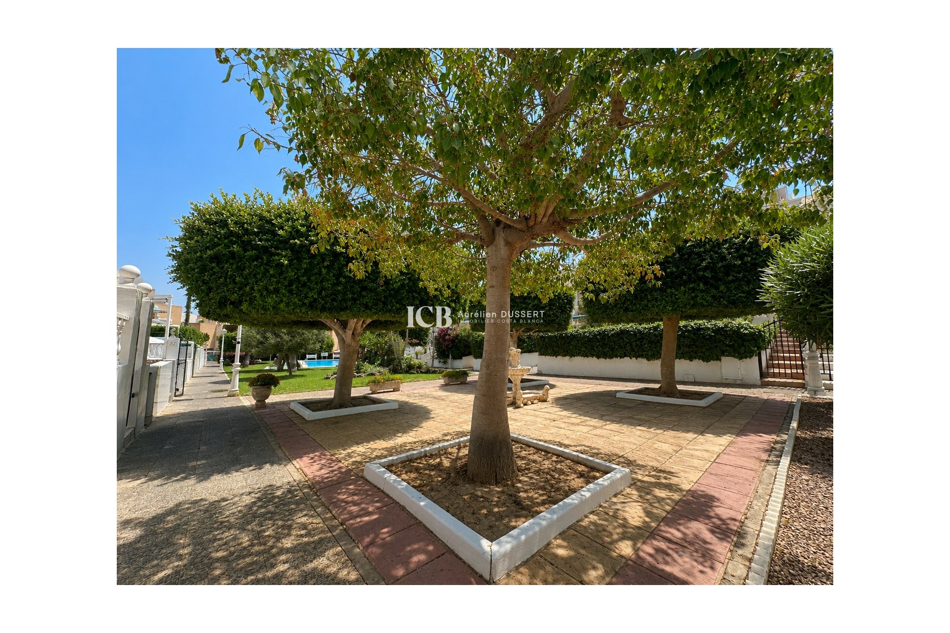 Revente - Appartement -
La Mata