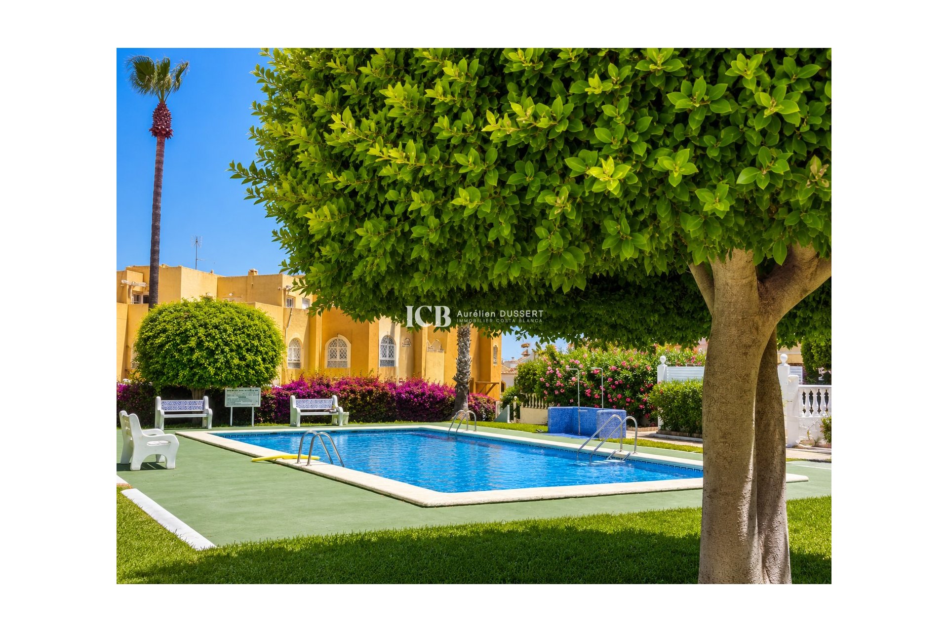 Revente - Appartement -
La Mata
