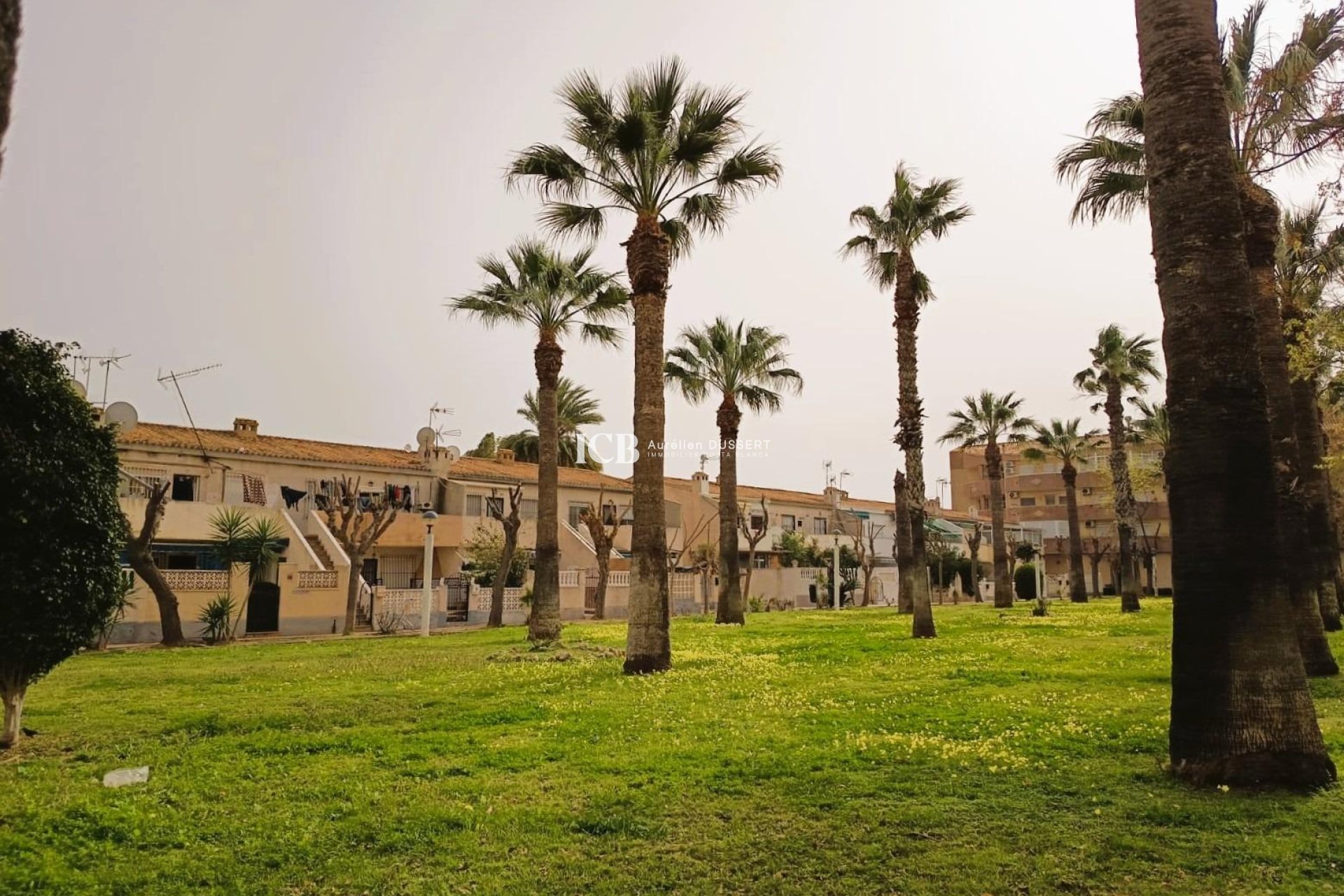 Revente - Appartement -
Orihuela Costa - La Regia