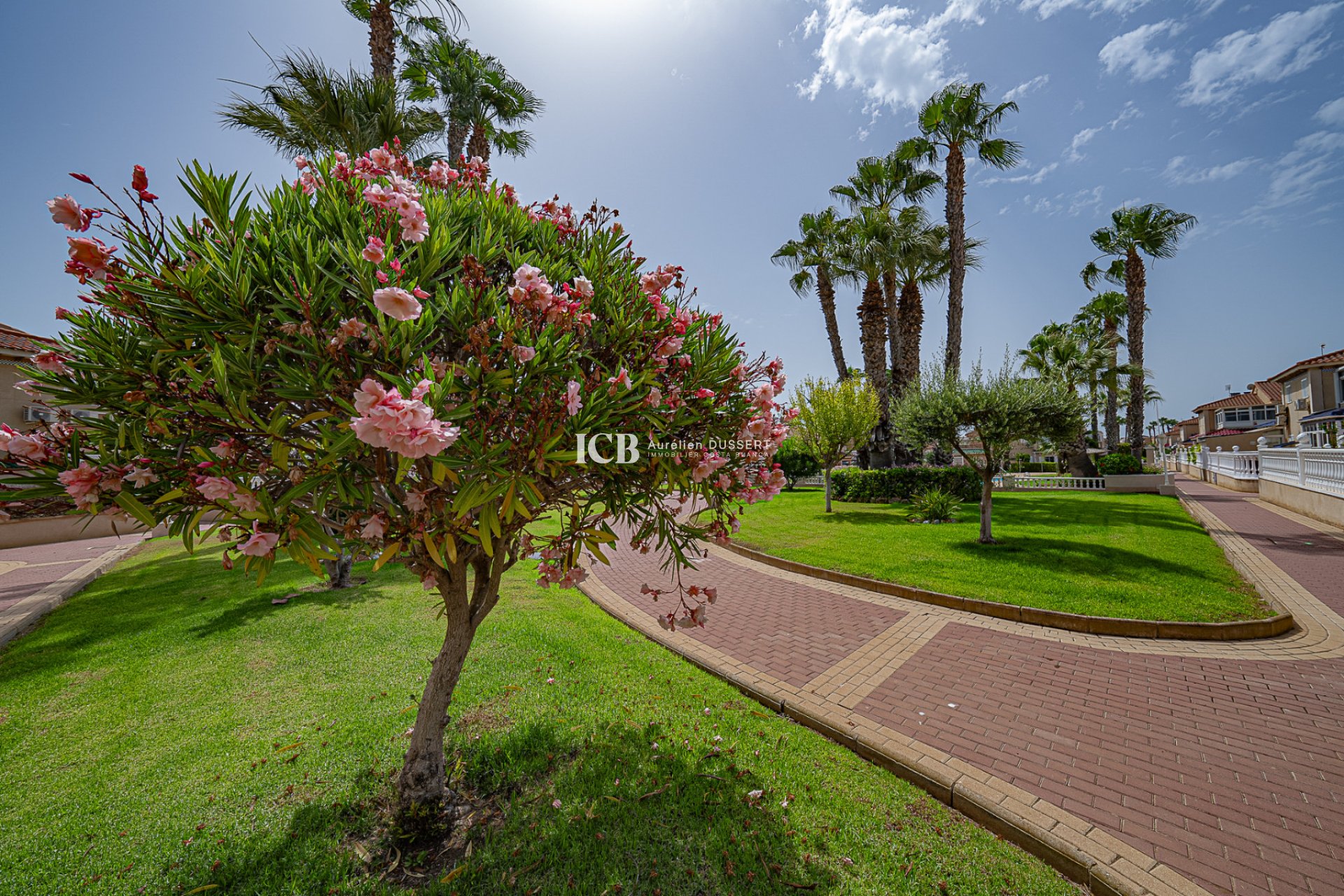 Revente - Appartement -
Orihuela Costa - Playa Flamenca